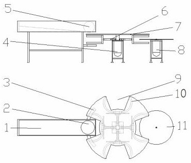 Coconut cutting machine