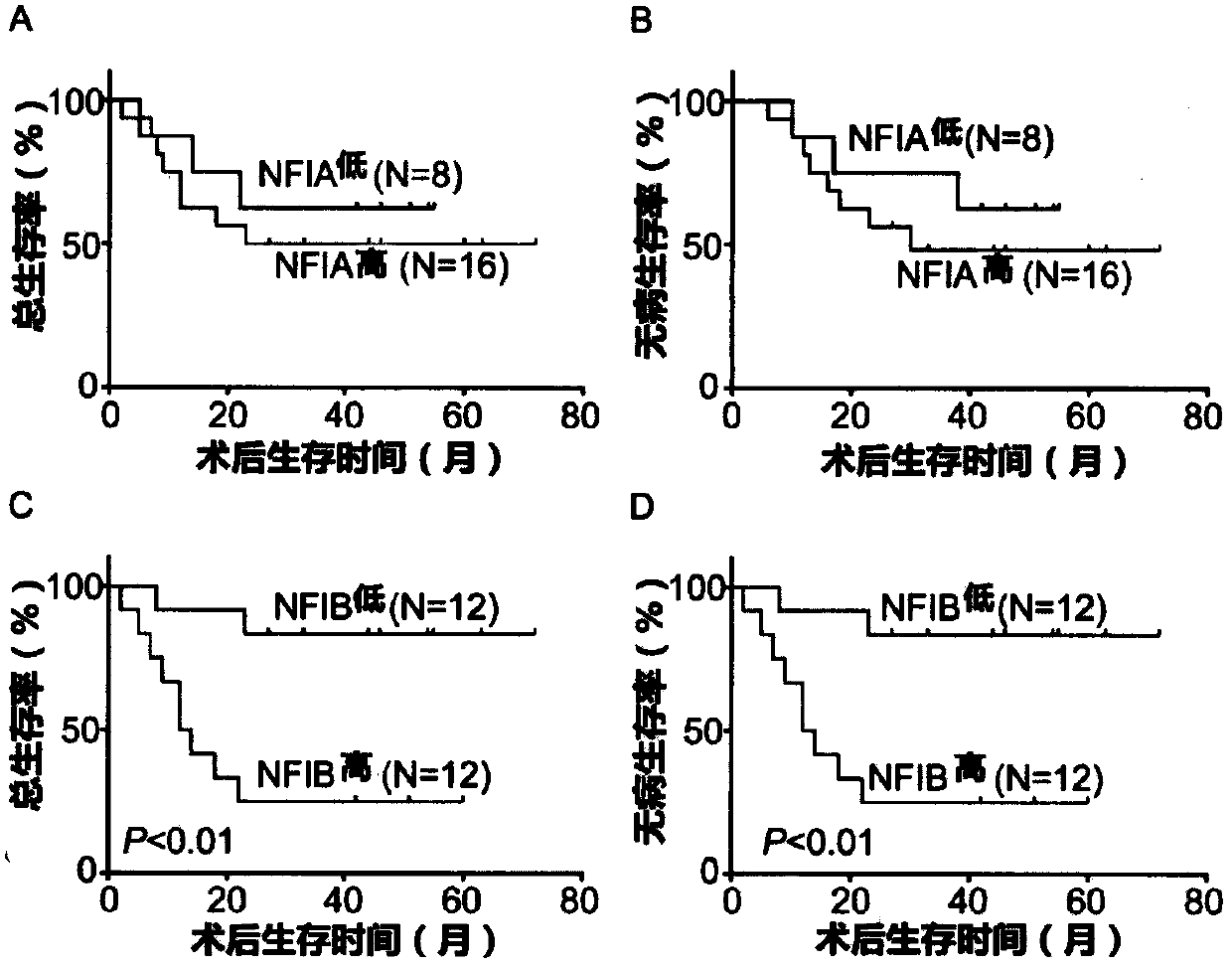 Oesophagogastric junction adenocarcinoma related biomarker and application thereof