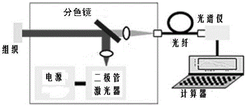 A detection kit for benign lesions and malignant lesions of oral mucosa and detection method thereof