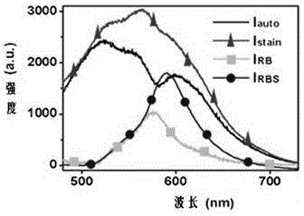 A detection kit for benign lesions and malignant lesions of oral mucosa and detection method thereof