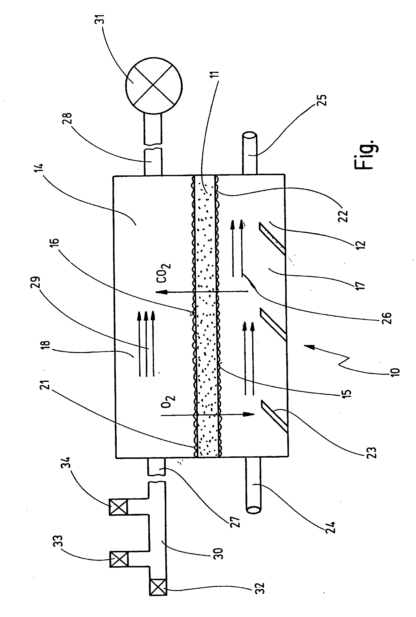 Artificial lung system and its use