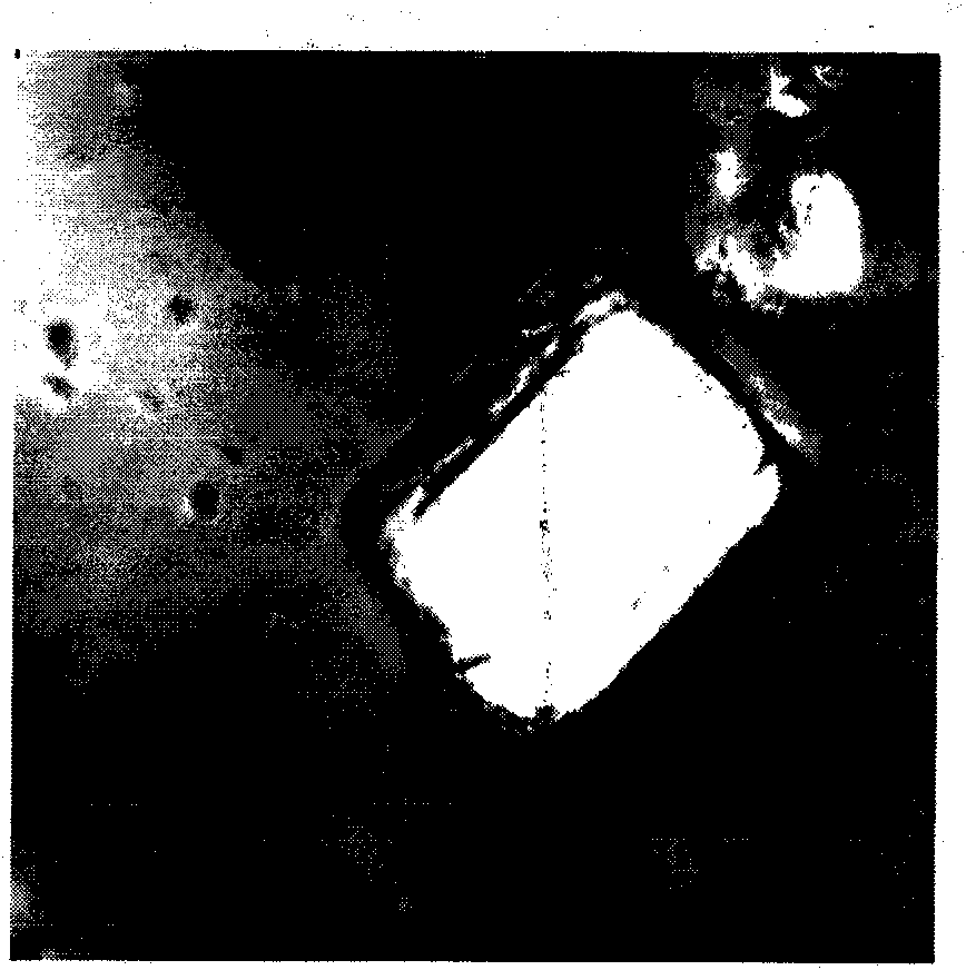 Method for preparing nano diflubenzuron microcapsules