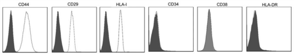 Mesenchymal stem cell strain for overexpression of PD-L1 gene as well as a construction method and application of mesenchymal stem cell strain