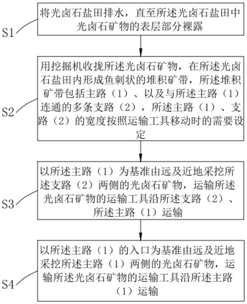 Mineral recovery method for carnallite salt pan