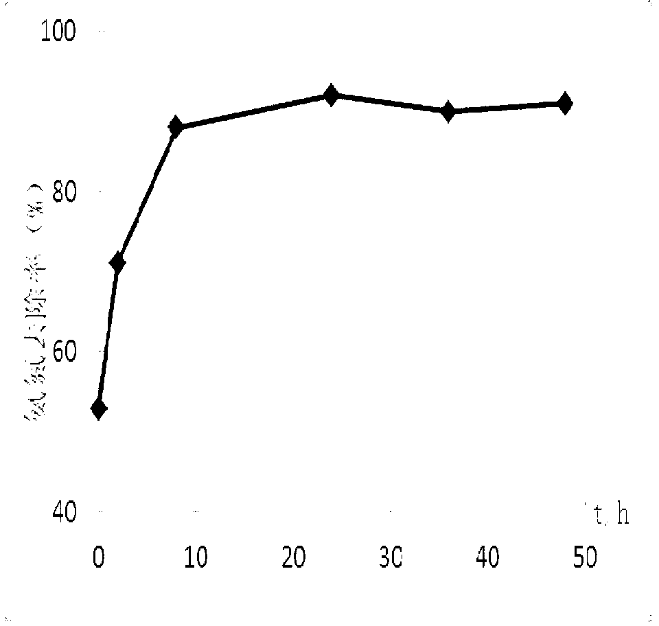 Ammonia oxidizing bacterium enriching device and method suitable for purifying micro-polluted water and application of ammonia oxidizing bacterium enriching device and method