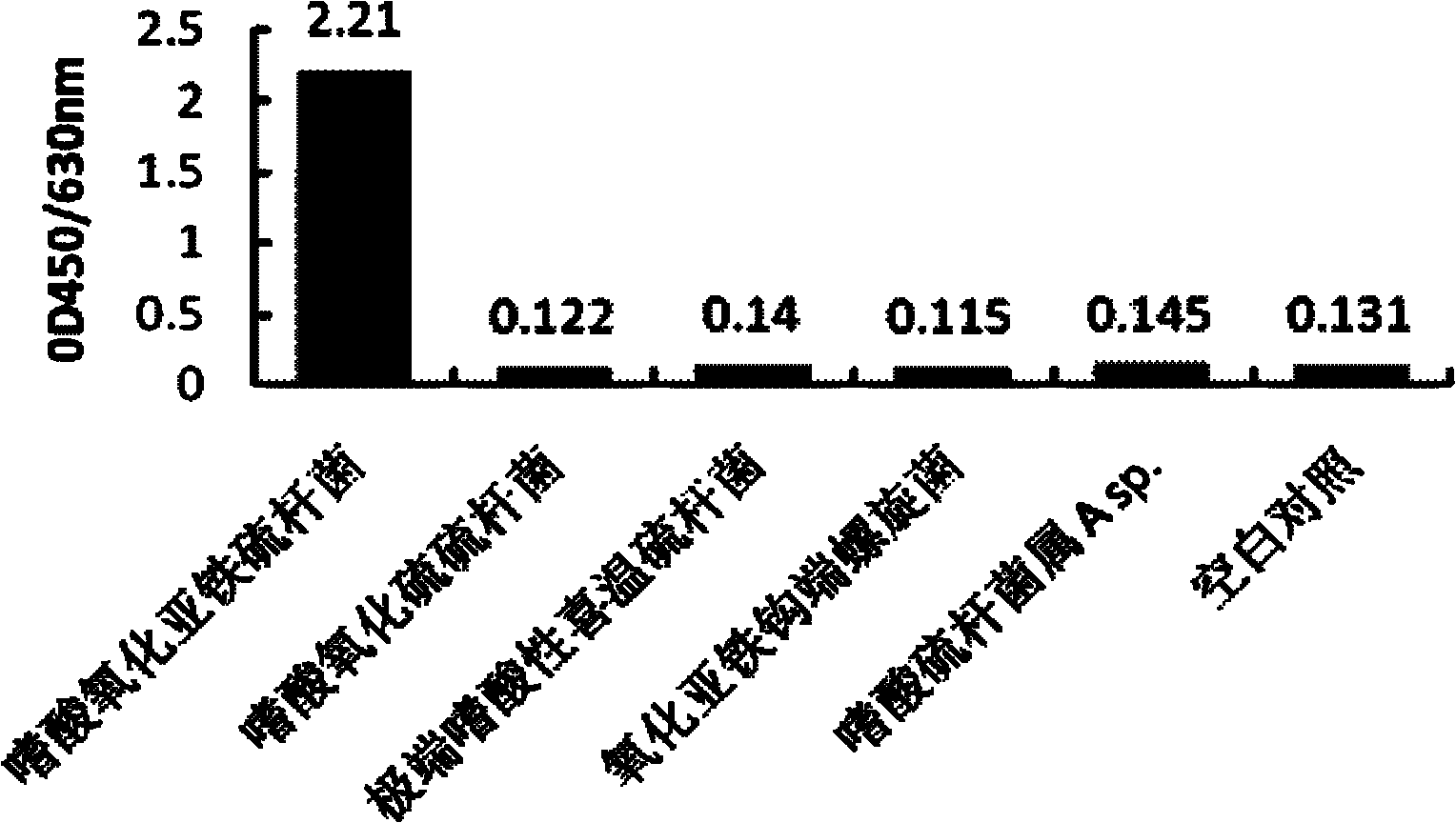 Thiobacillus ferrooxidans detection probe composition and related detection method