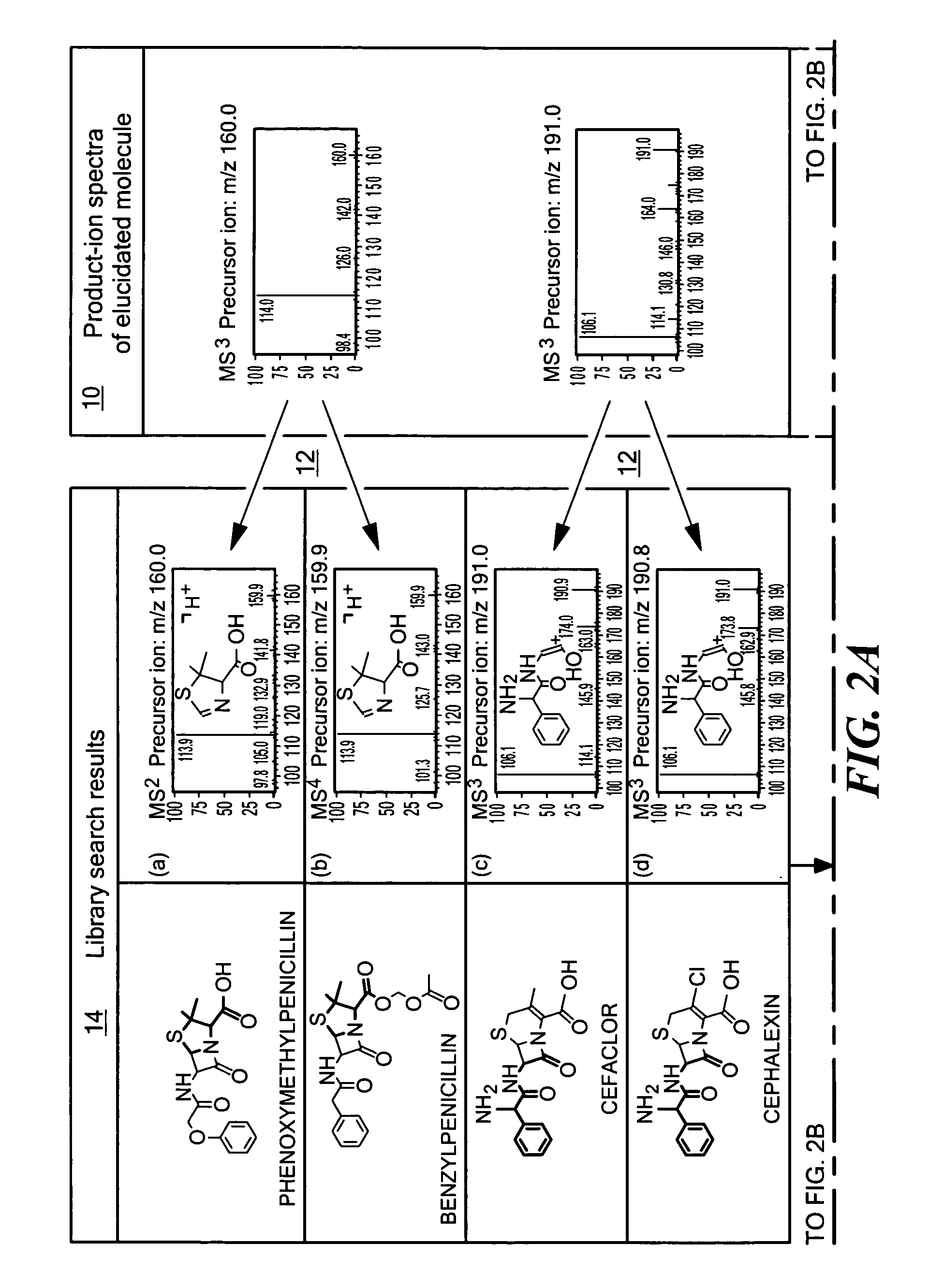 Determination of molecular structures using tandem mass spectrometry