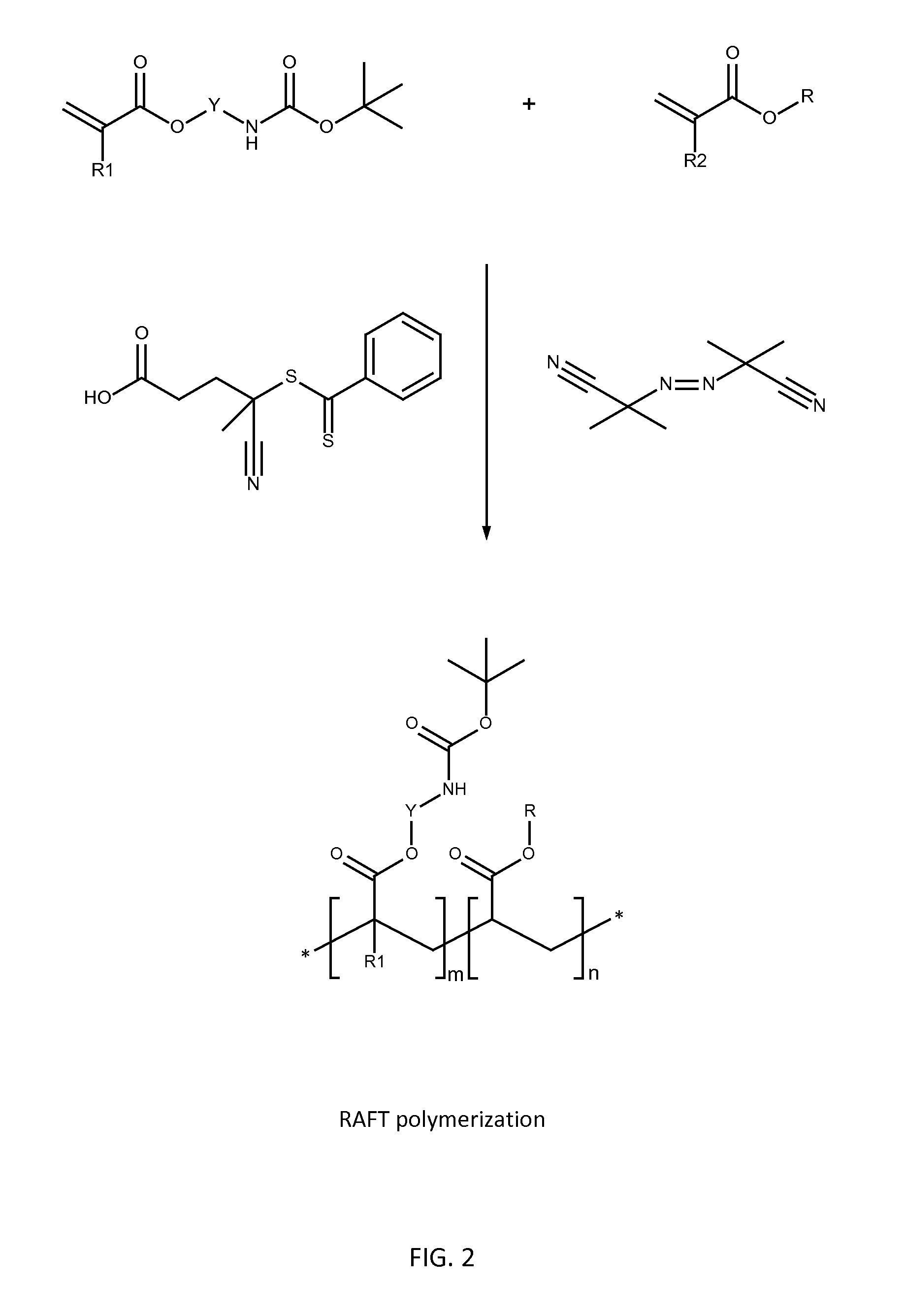 Poly(acrylate) Polymers for In Vivo Nucleic Acid Delivery