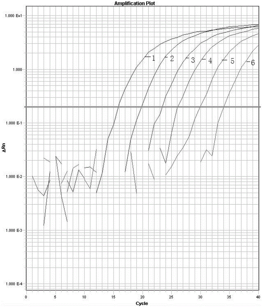 Primer and probe for Zygosaccharomyces bailii detection and detection method thereof