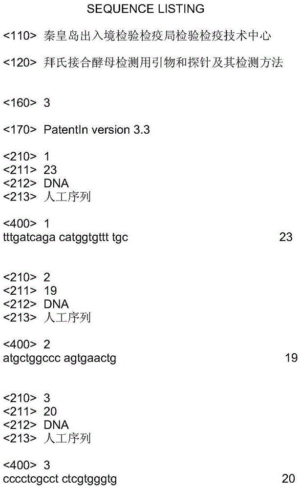 Primer and probe for Zygosaccharomyces bailii detection and detection method thereof