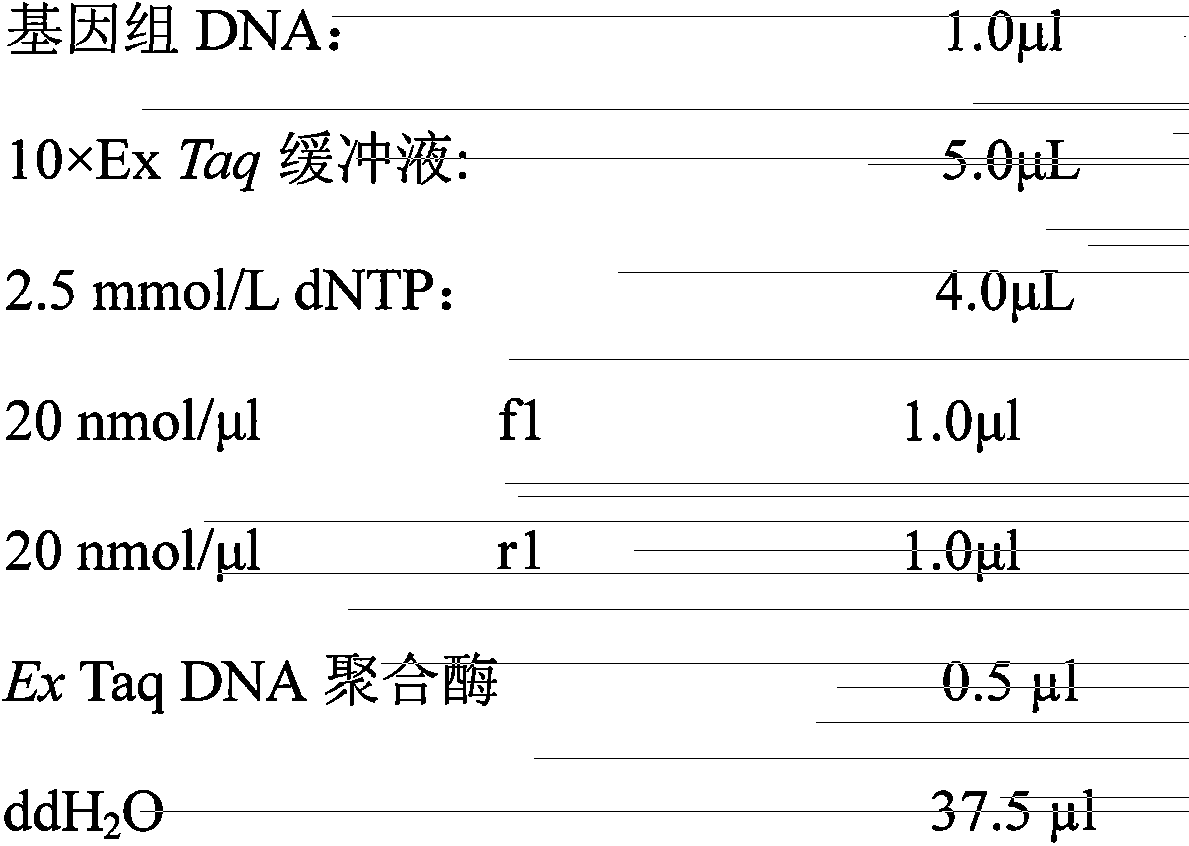 Marker and primer for detecting pediatric asthma