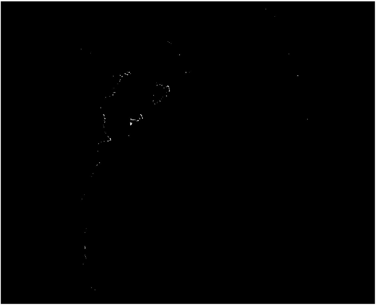 Preparation method of Ag/g-C3N4 composite visible light catalyst