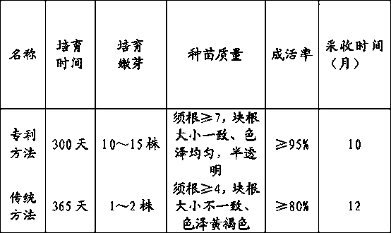 A kind of cultivation method of Scrophularia scrophulariae seedlings