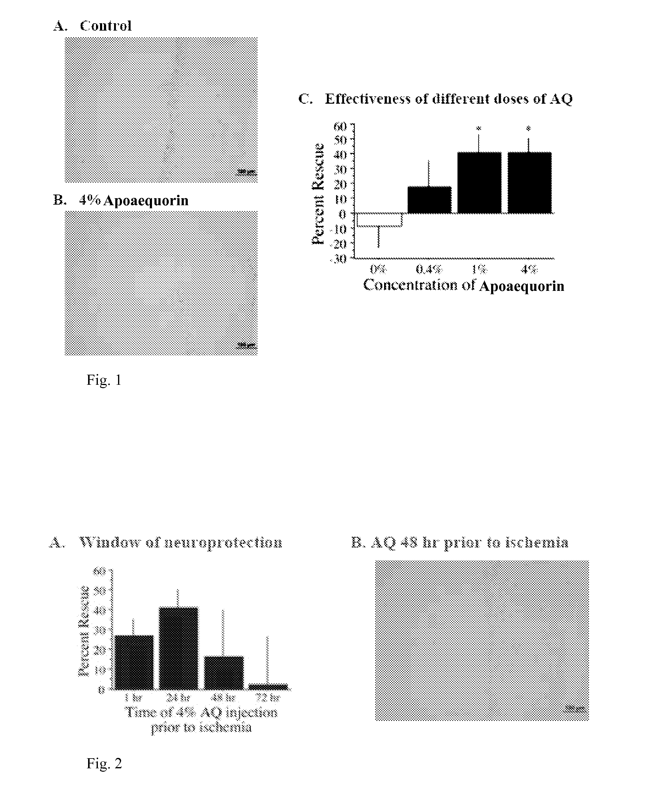 Method of treating ischemic injury using apoaequorin