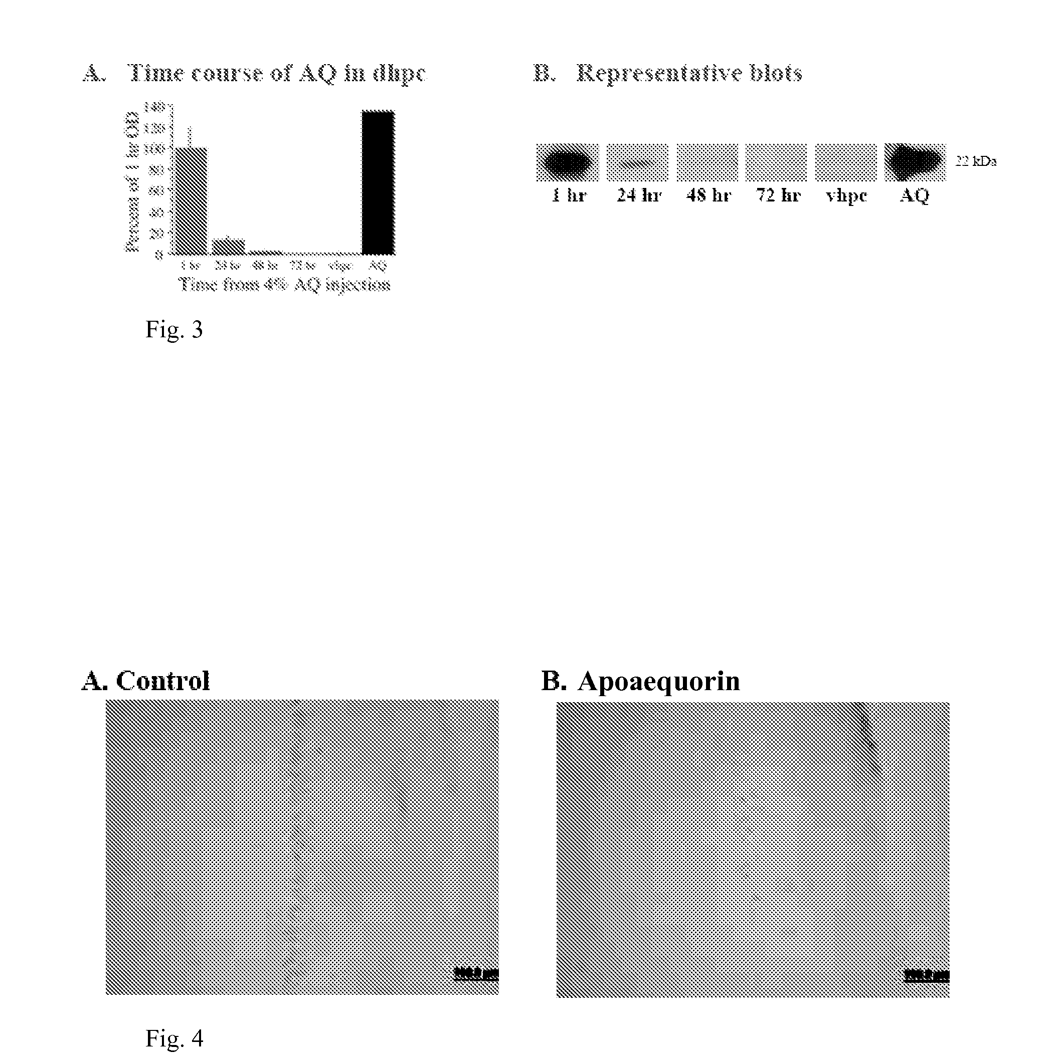 Method of treating ischemic injury using apoaequorin