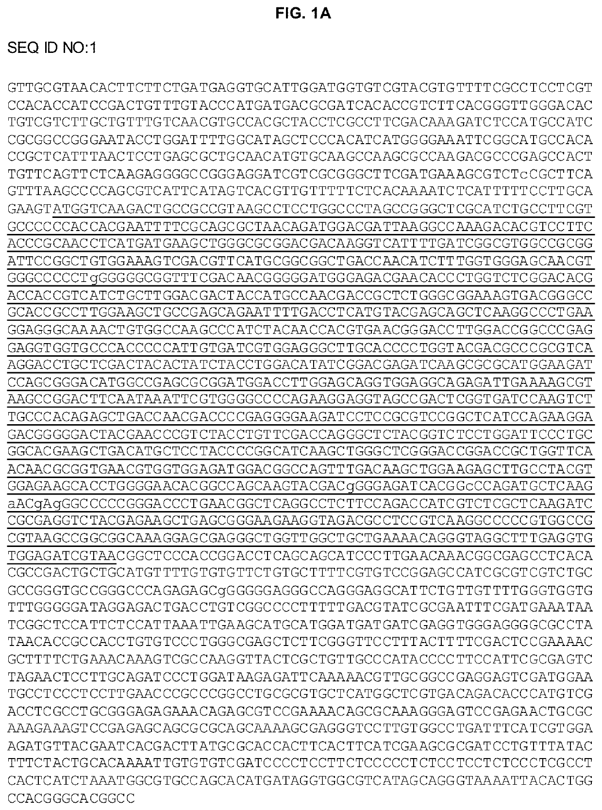 Chloroplast targeting peptide sequence derived from nannochloropsis phosphoribulokinase and methods for use