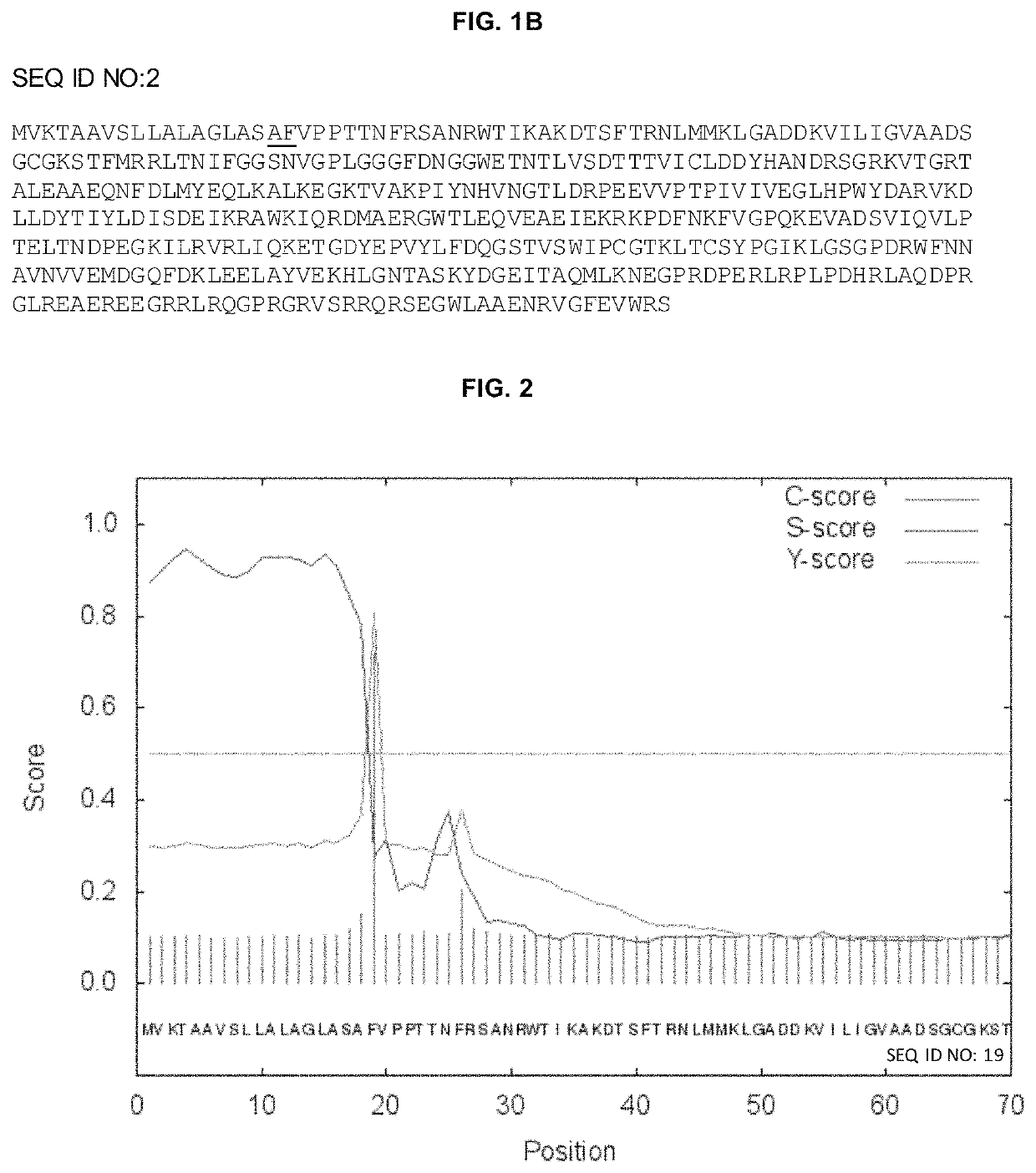 Chloroplast targeting peptide sequence derived from nannochloropsis phosphoribulokinase and methods for use