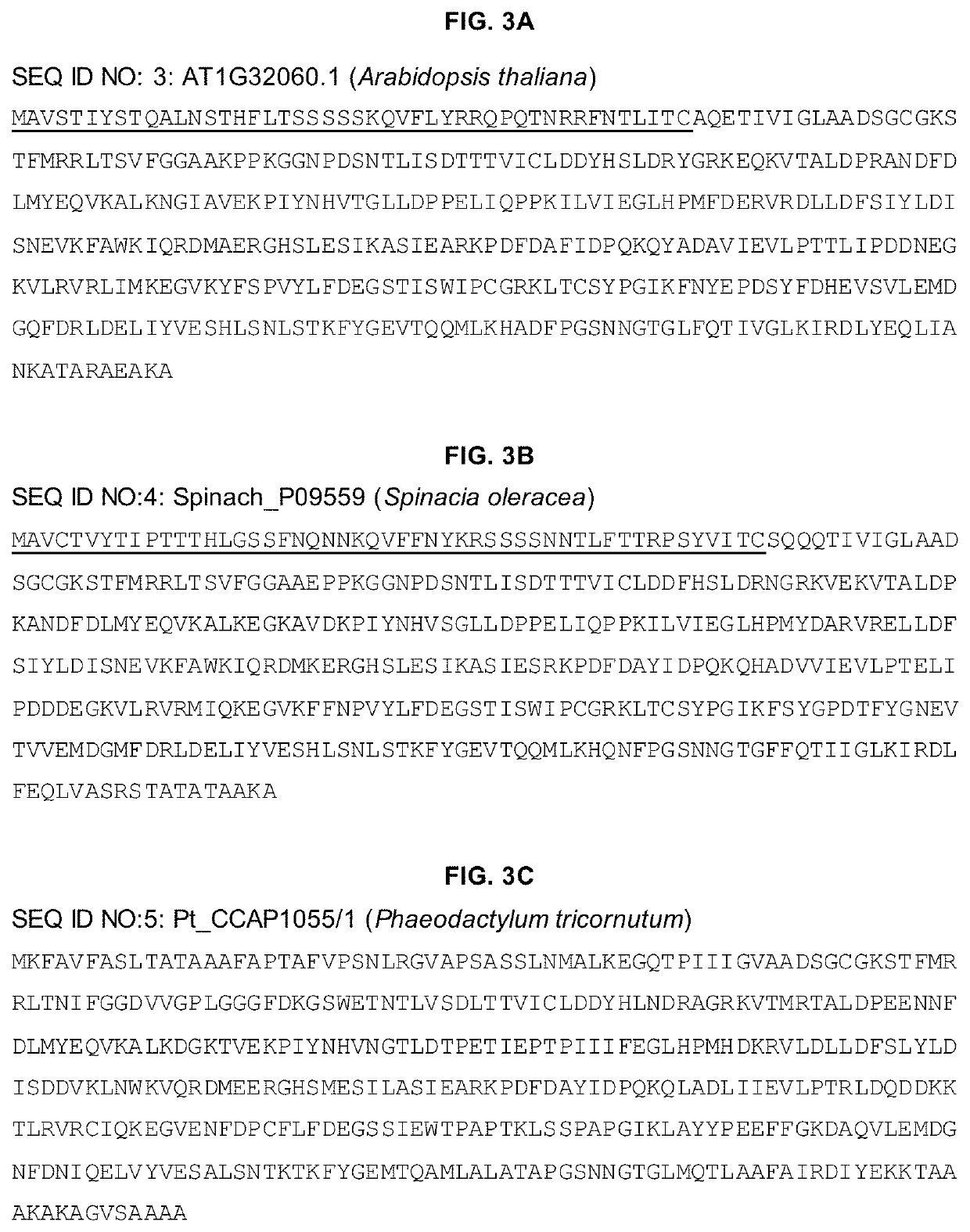 Chloroplast targeting peptide sequence derived from nannochloropsis phosphoribulokinase and methods for use