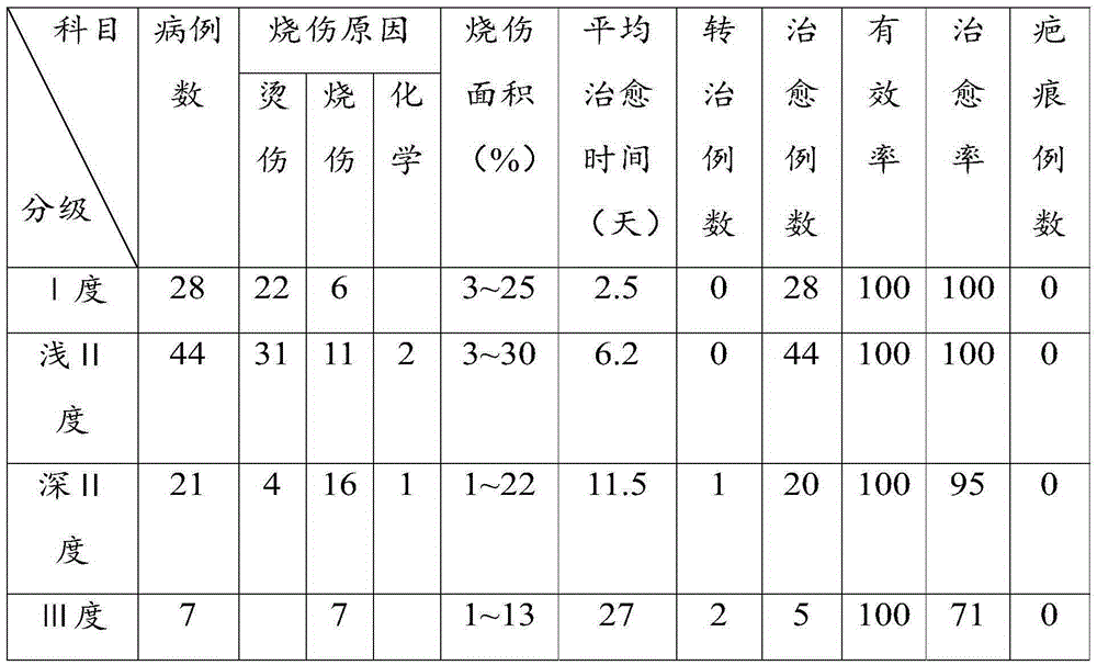 Medicine used for treating burns, scalds and bedsore and preparation method thereof