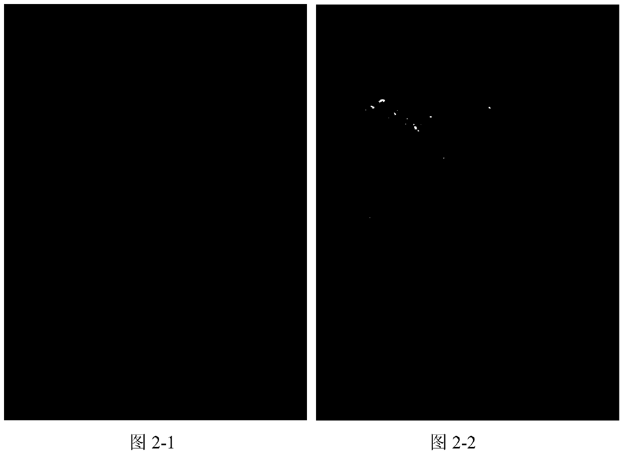 A kind of compound fat simulant and preparation method thereof