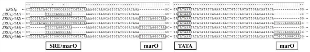 Yeast promoters with reduced regulatory strength and their application in metabolic flux regulation