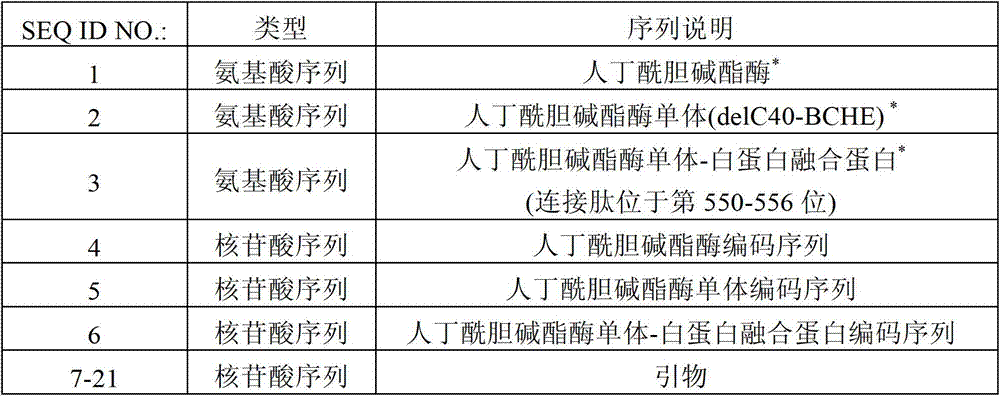 Method for large-scale production of recombinant human butyrylcholinesterase using transgenic animal mammary gland biological platform