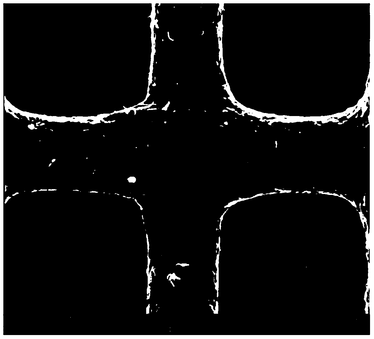 Method for preparing nano MnO2 composite electrode for high-conductivity super-capacitor