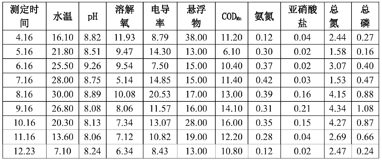 Method for carrying out relay culture on Ietalurus Punetaus and freshwater shrimps in culture pond