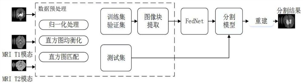 Newborn brain image segmentation method and model construction method based on deep learning