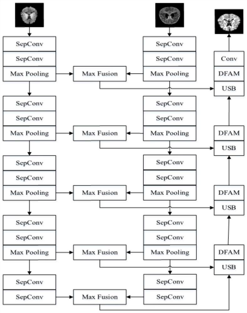 Newborn brain image segmentation method and model construction method based on deep learning