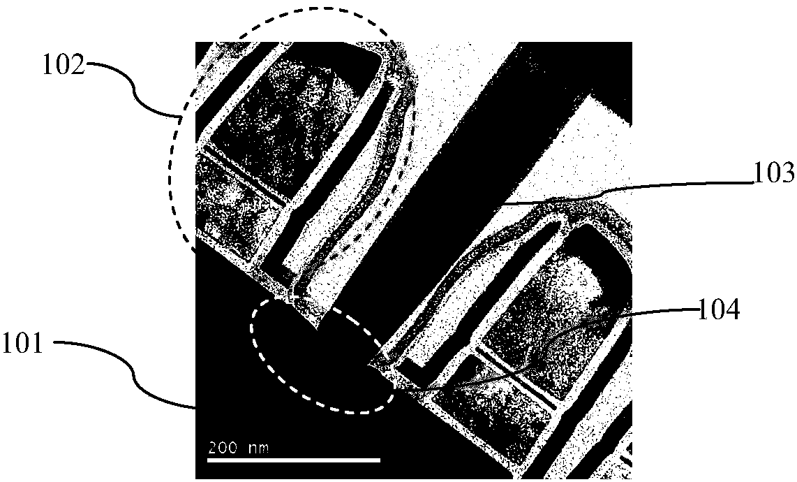 Preparation method of TEM sample of nickel metal silicide