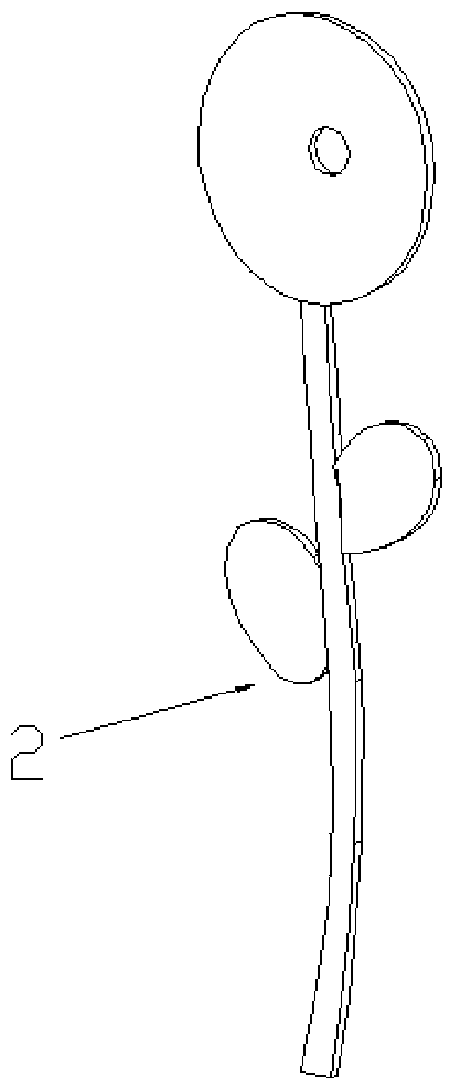 Protective window and manufacturing method thereof