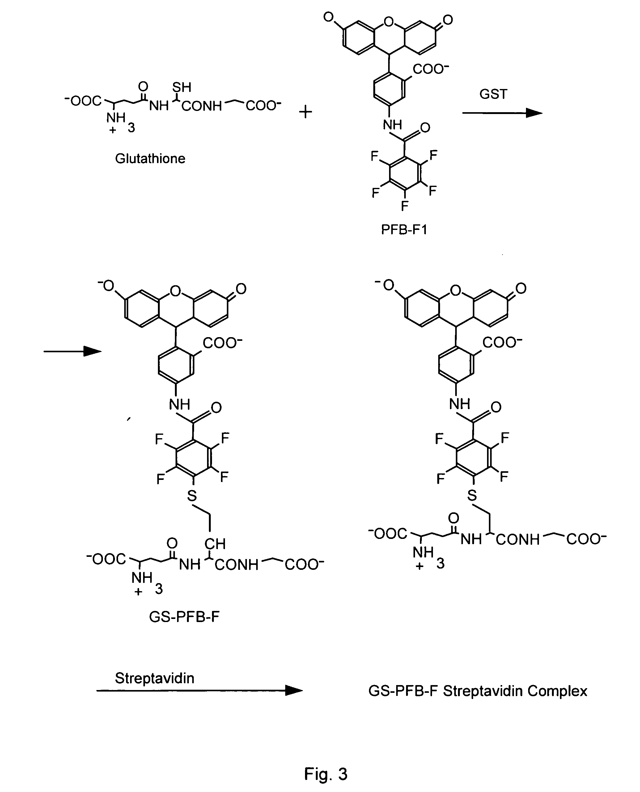 Homogeneous assay methods