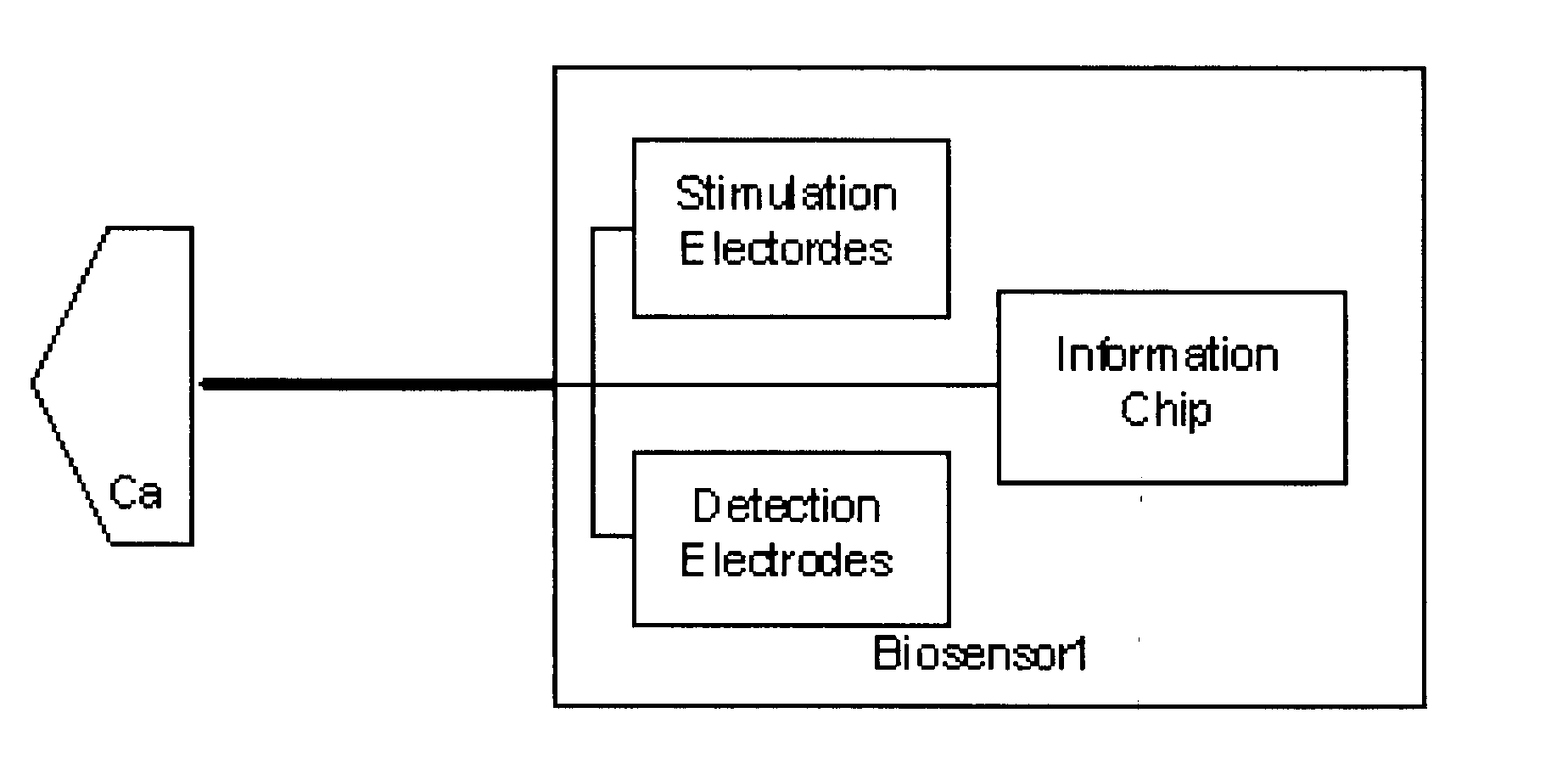 Apparatus and method for performing nerve conduction studies with multiple neuromuscular electrodes