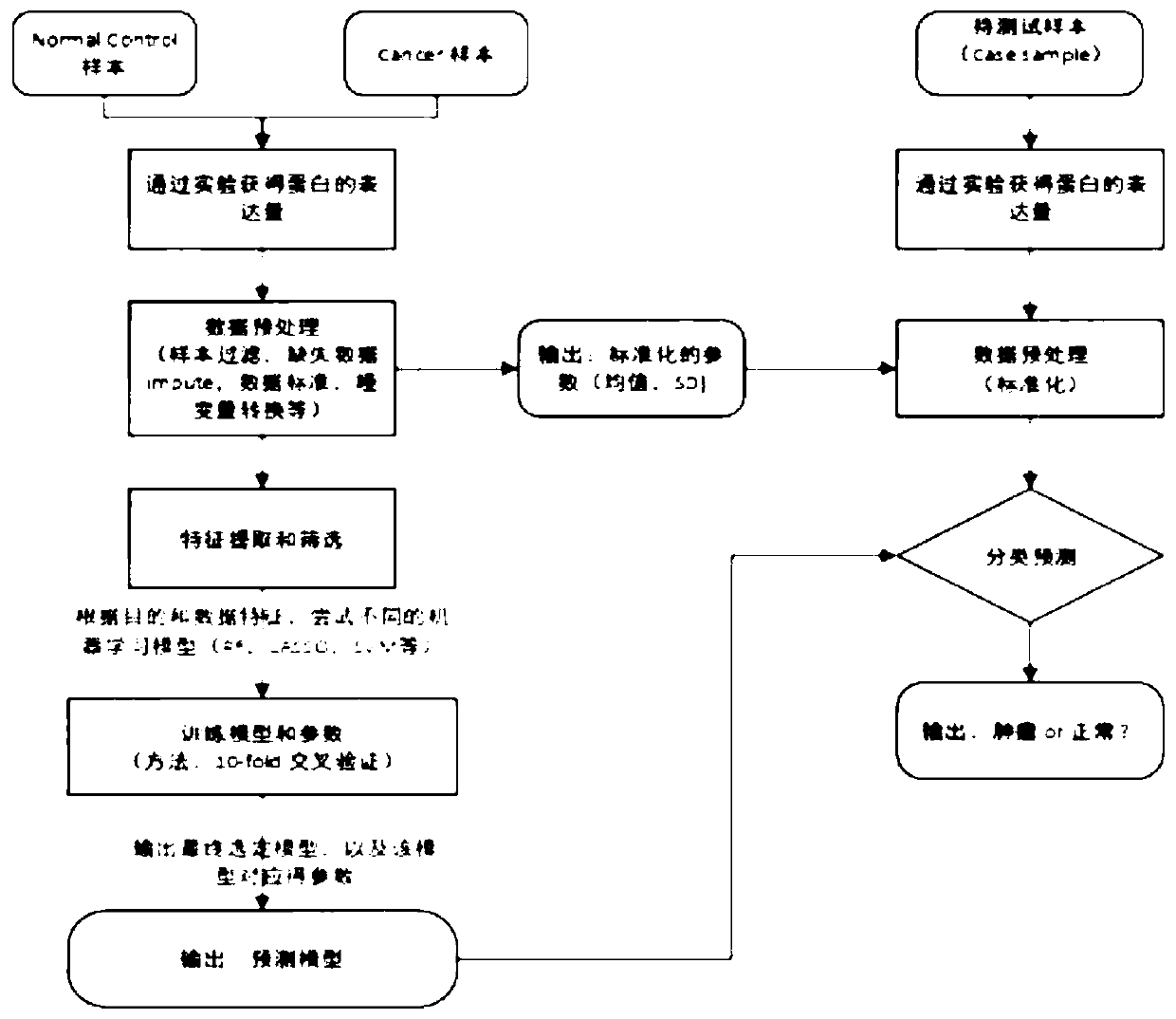 Cancer screening method based on protein marker and artificial intelligence