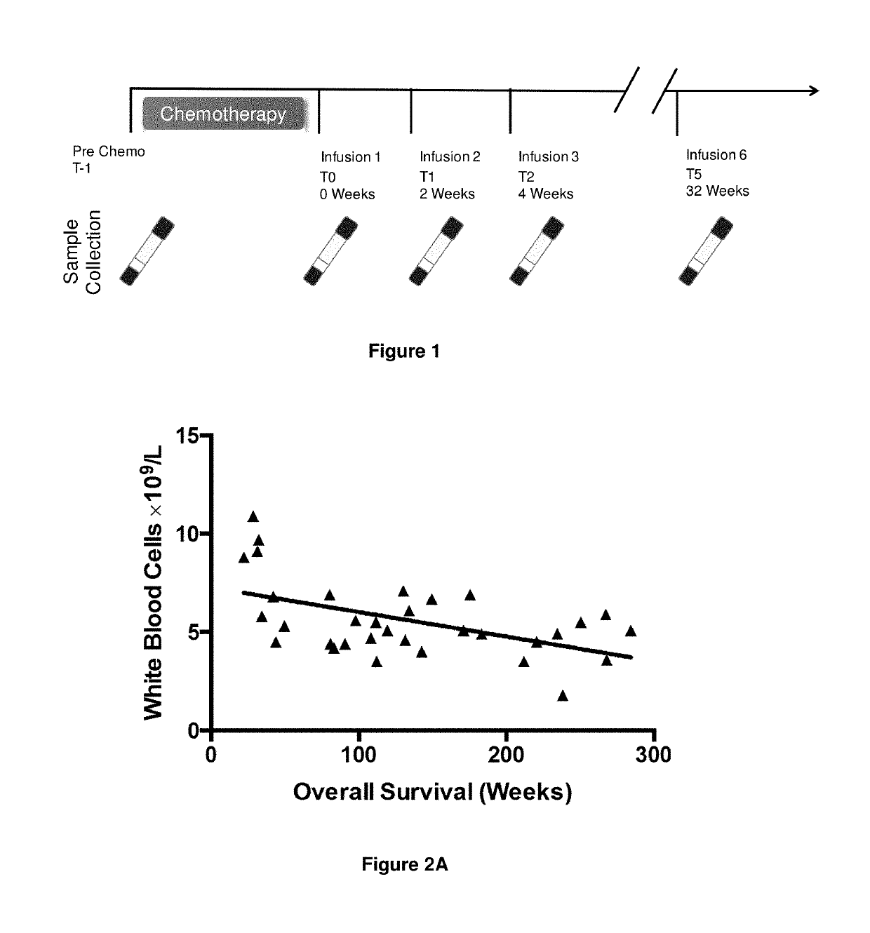 Method for treating epstein-barr virus—positive cancer with immunotherapy