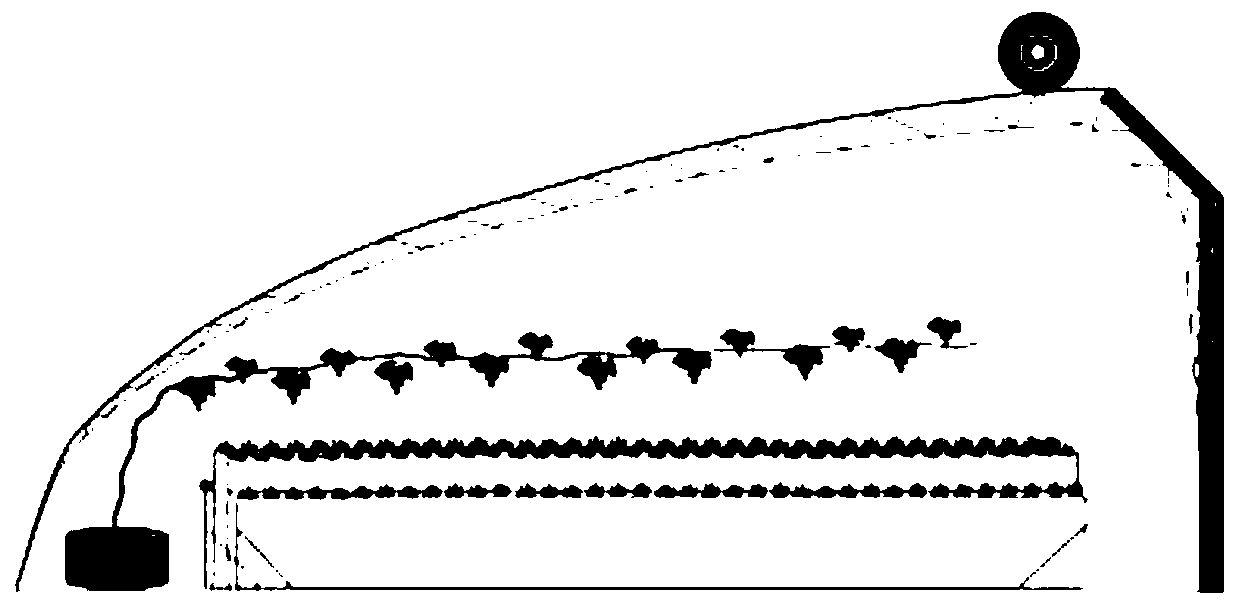 Interplanting method of root-limited grape and floor stand strawberry