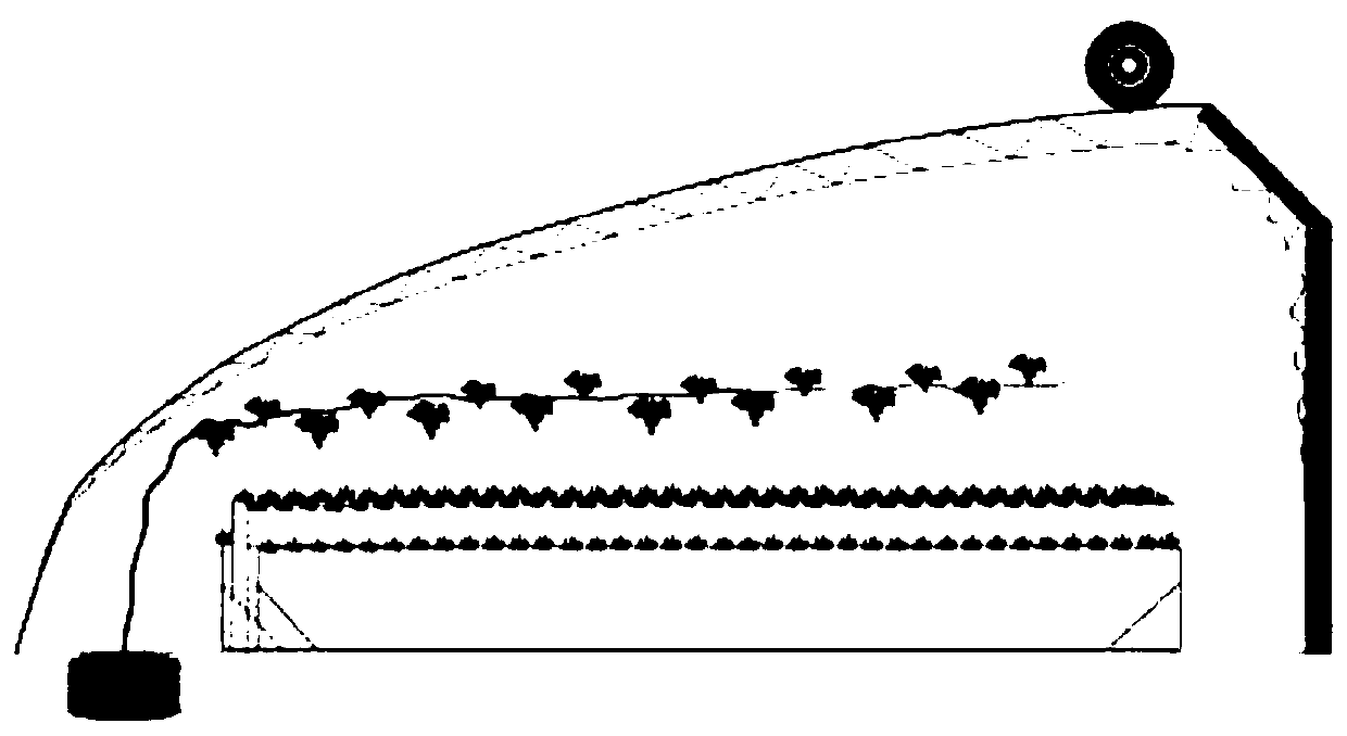 Interplanting method of root-limited grape and floor stand strawberry