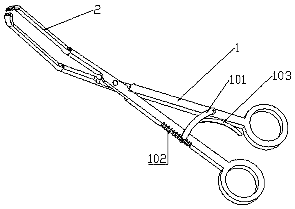 Tissue forceps