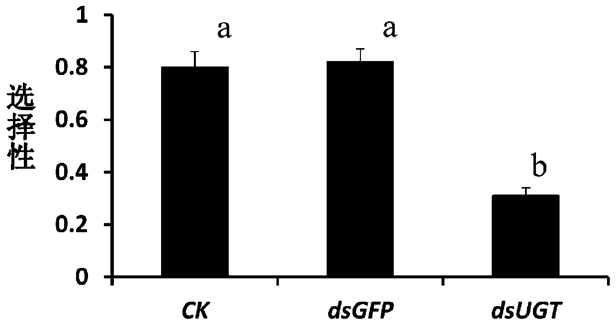 Locust uridine diphosphate glucuronic acid transferase gene and application thereof