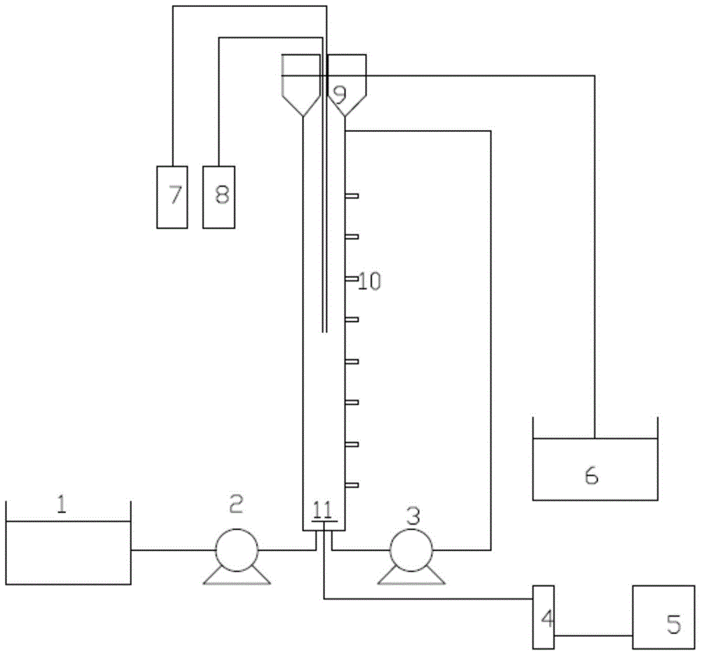 A method for cultivating fully autotrophic denitrification granular sludge in a continuous flow reactor