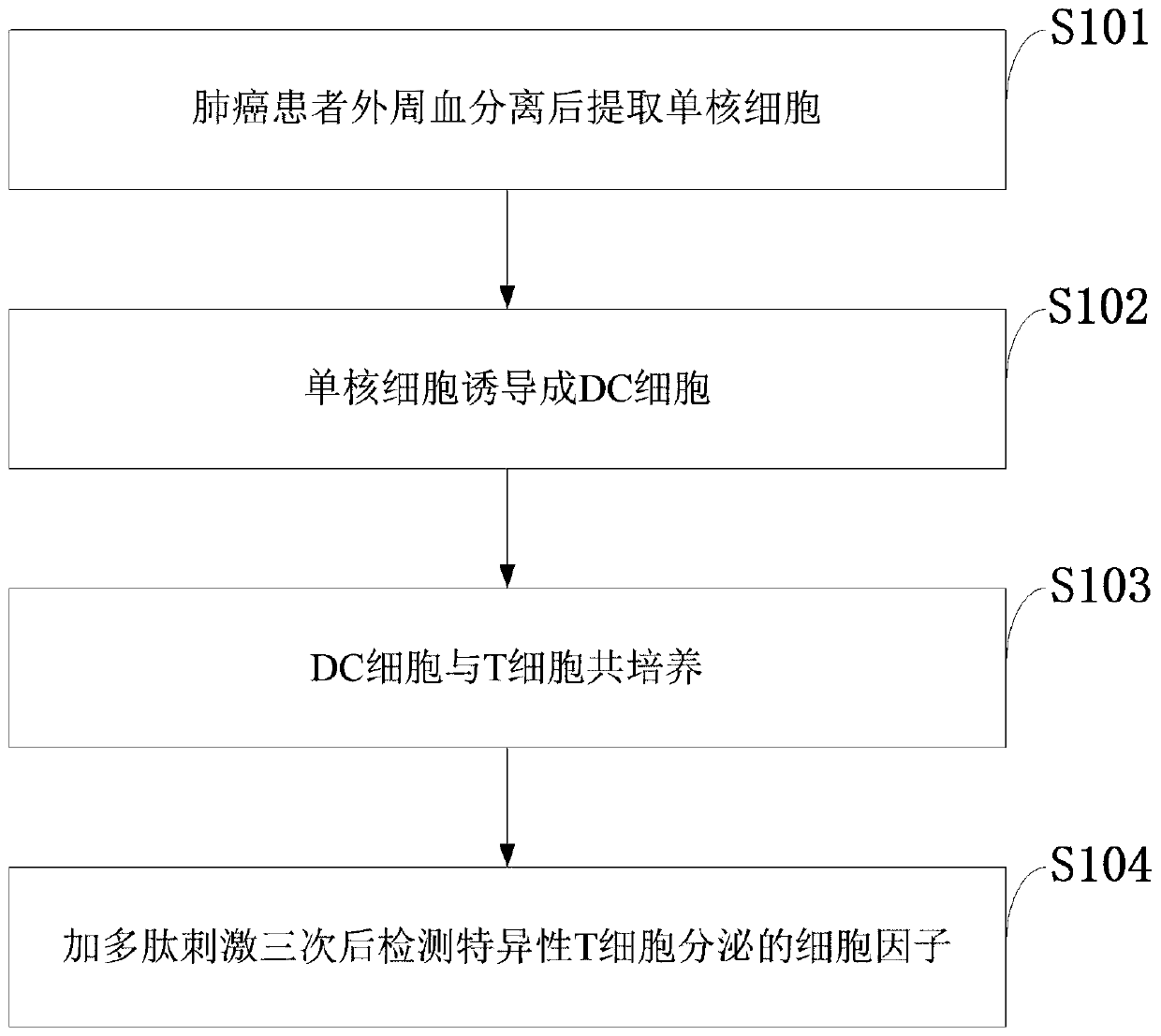 Method for detecting cytokines secreted by specific T cells in lung cancer or intestinal cancer