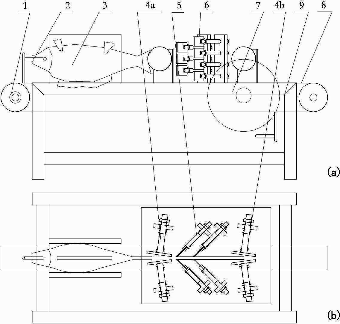 Fresh fish scaling device