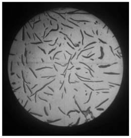 Nucleating agent used for improving graphite form in gray pig iron and preparing process thereof