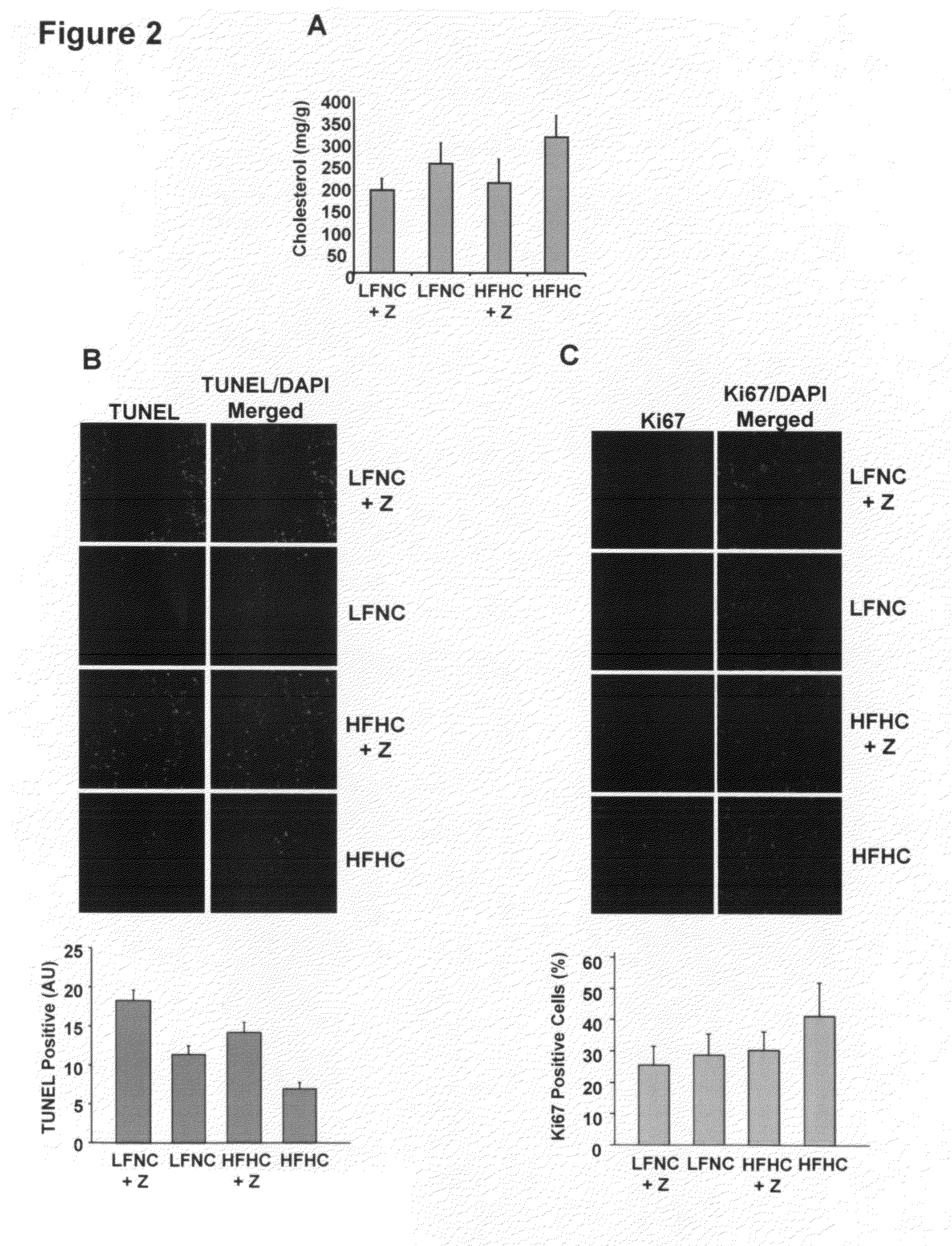 Inhibition of angiogenesis