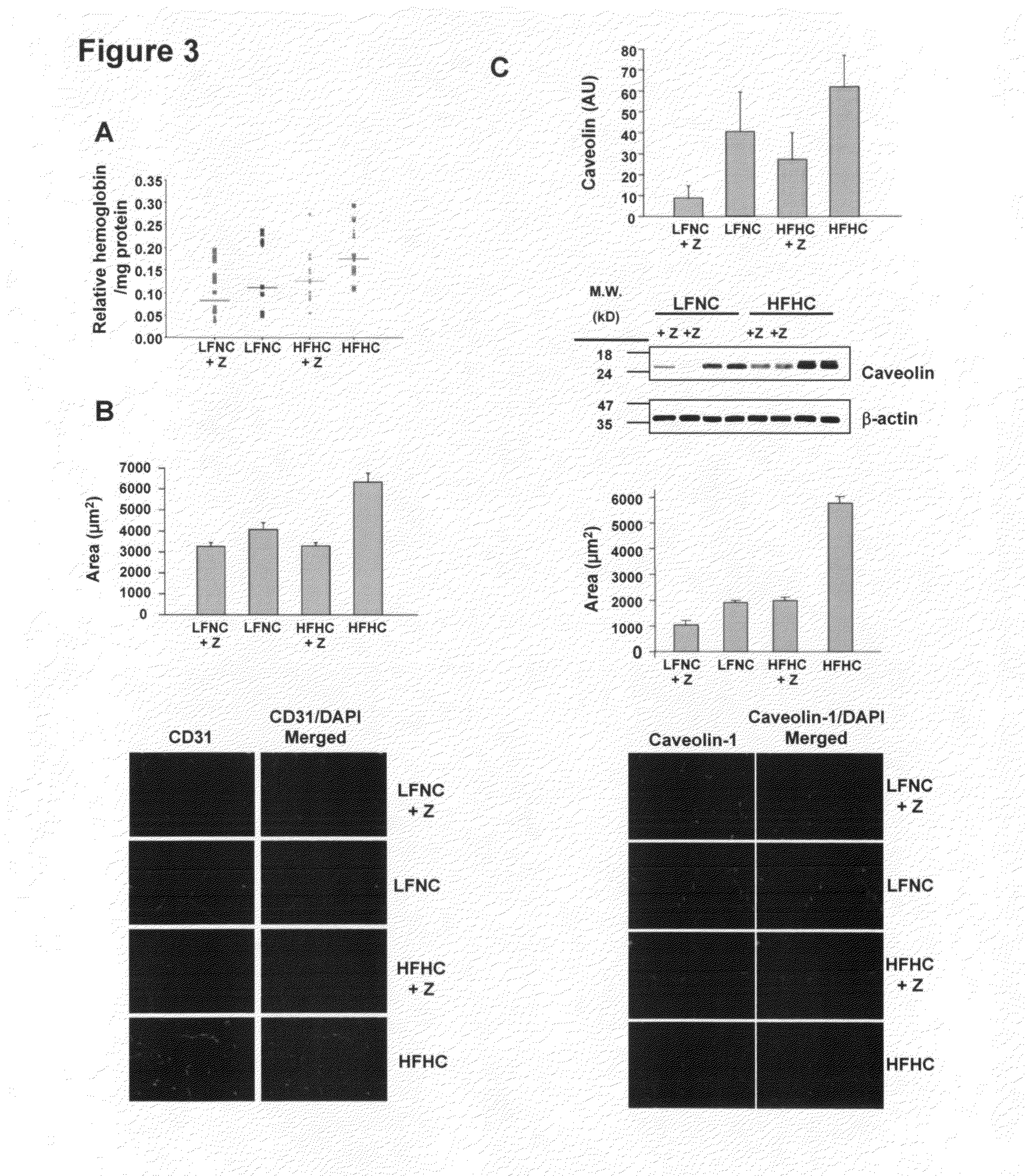 Inhibition of angiogenesis