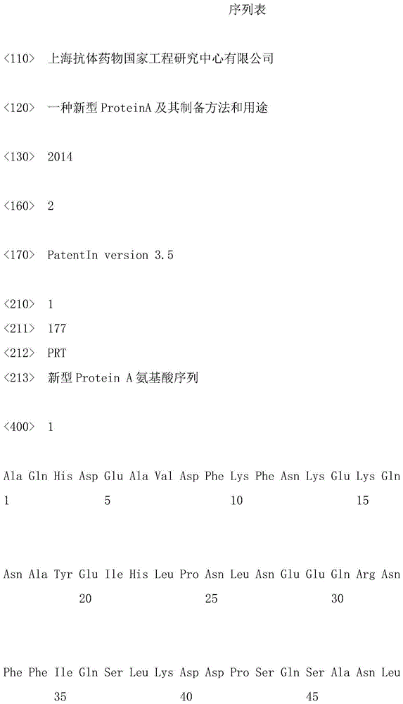 Novel ProteinA, and preparation method and use of novel ProteinA