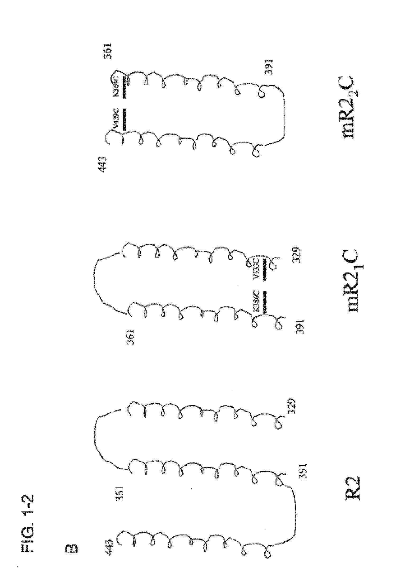 Synthetic Streptococcus pneumoniae vaccine