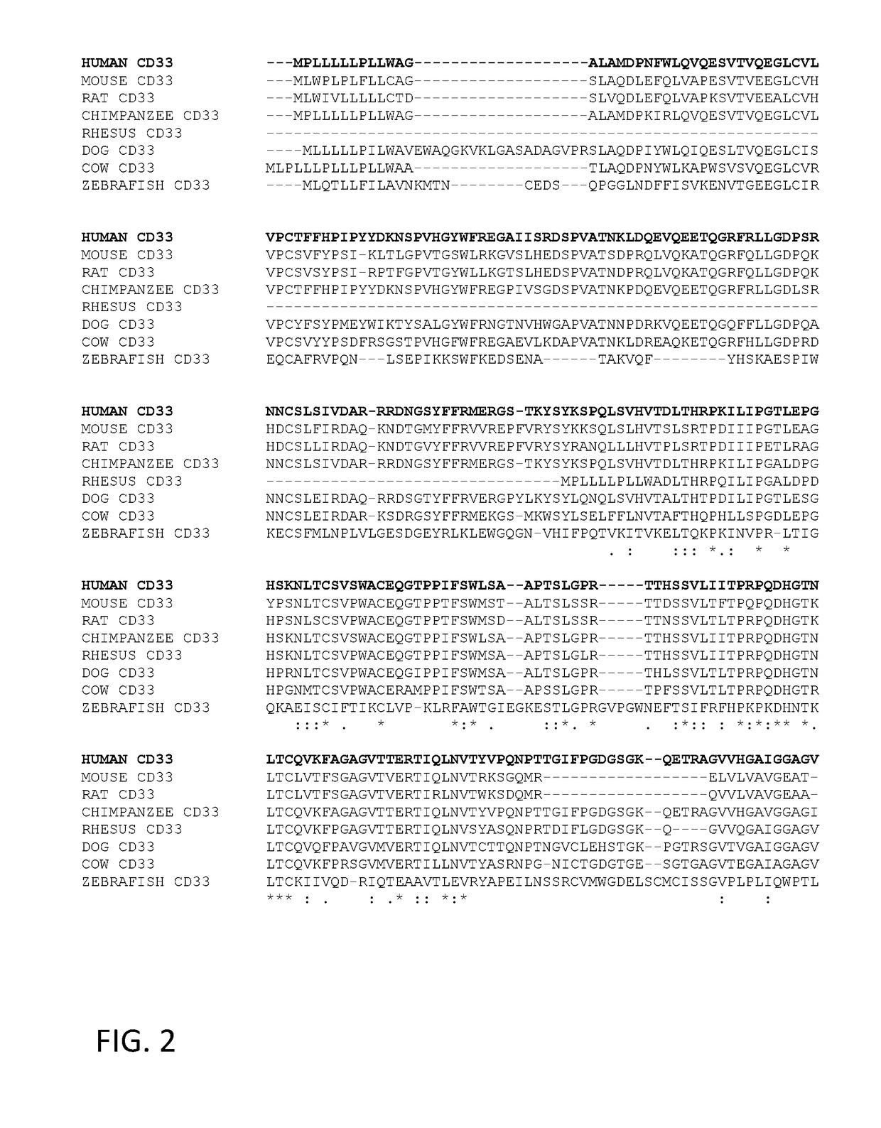 Anti-cd33 antibodies and methods of use thereof