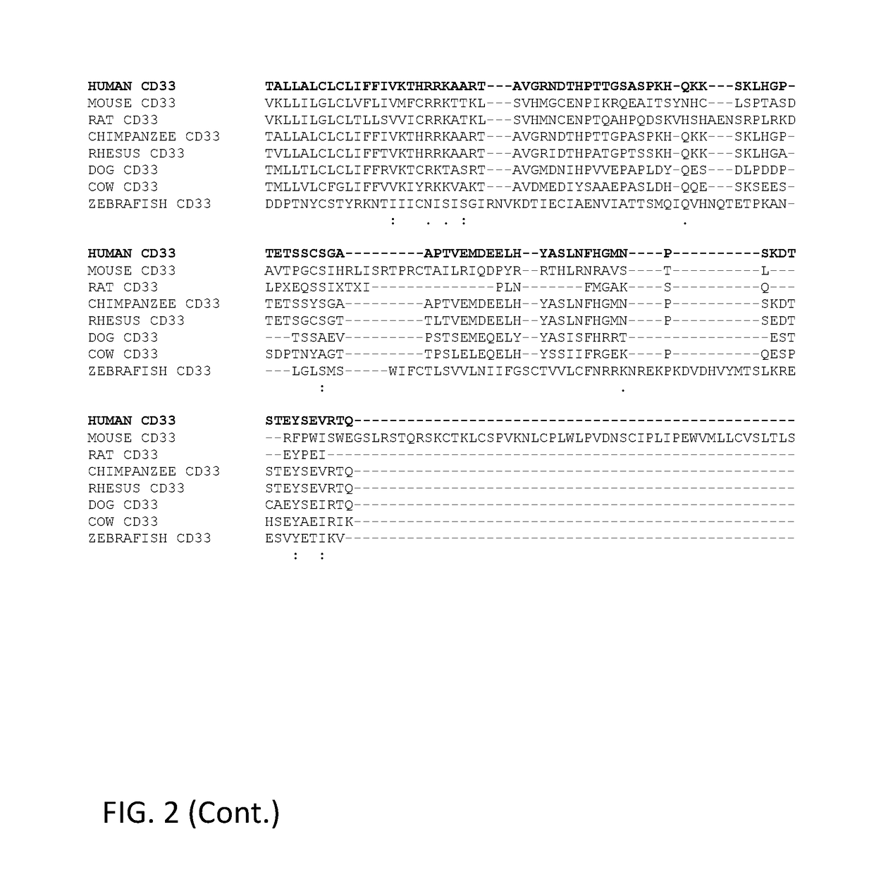 Anti-cd33 antibodies and methods of use thereof